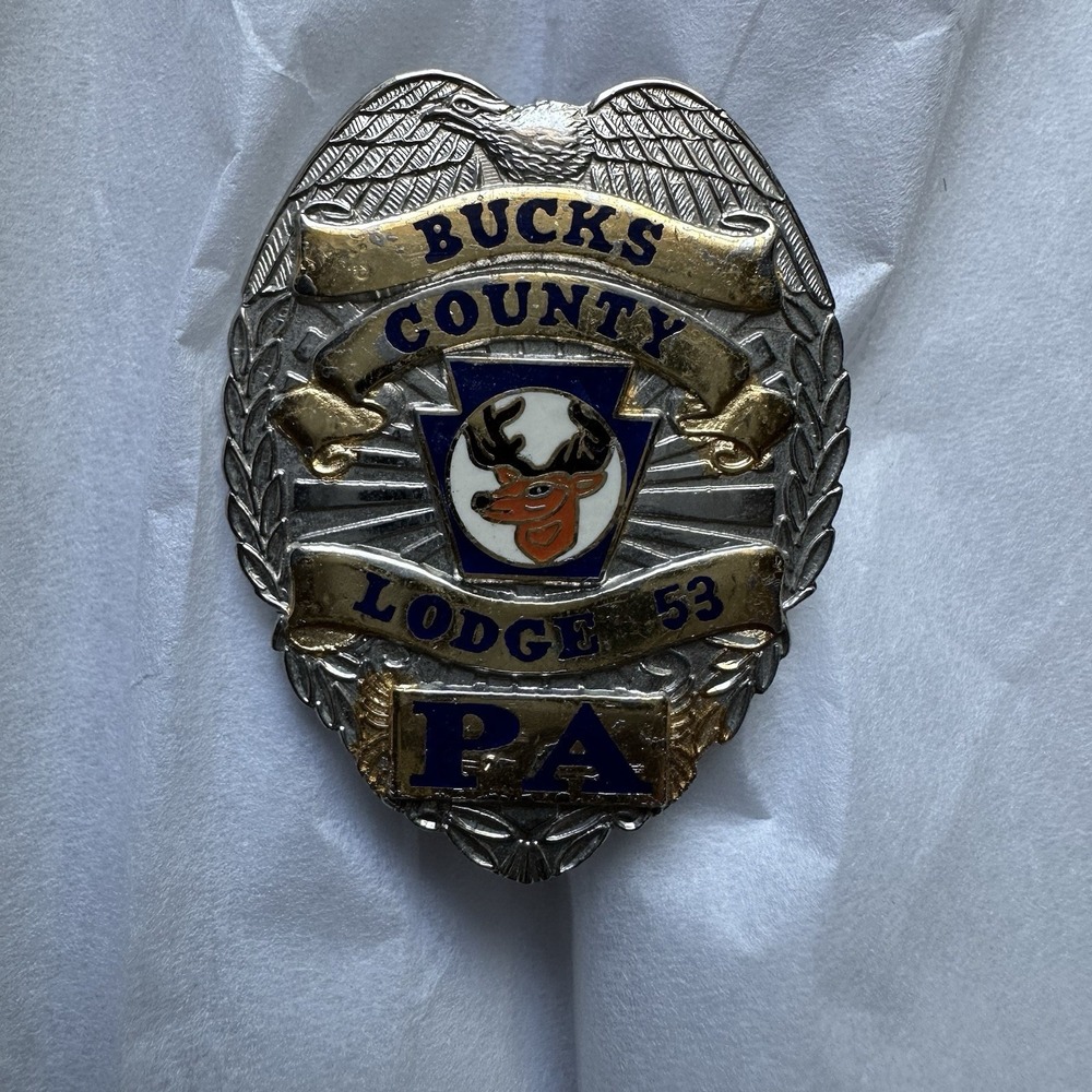 VINTAGE PENNSYLVANIA BUCKS COUNTY LODGE 53 SILVER GOLD TONE‎ PIN OBSOLETE MOOSE